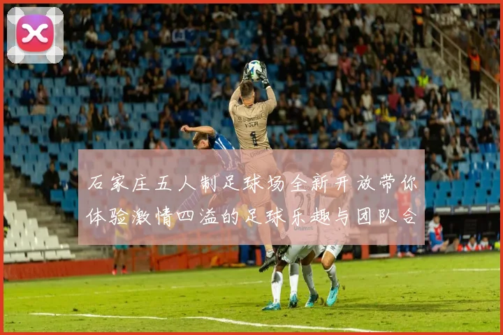 石家庄五人制足球场全新开放带你体验激情四溢的足球乐趣与团队合作的魅力