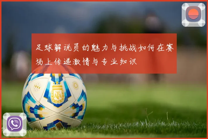 足球解说员的魅力与挑战如何在赛场上传递激情与专业知识
